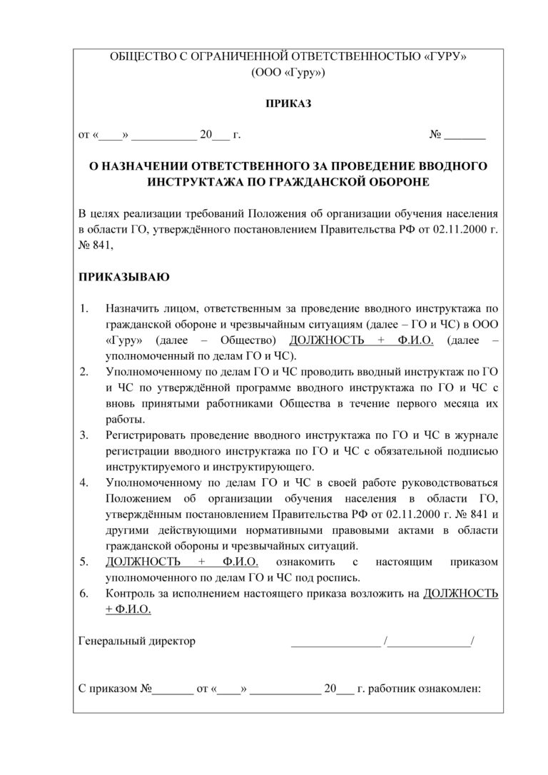 Назначение ответственного по гражданской обороне. Приказ о назначении ответственного за проведение инструктажа по ЧС. Приказ о проведении вводного инструктажа.